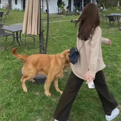 危险的灯